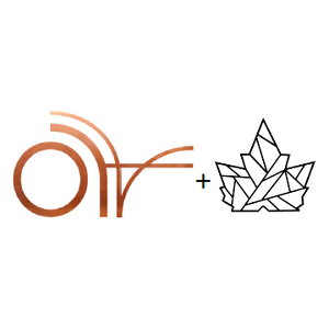 Team Page: Acta Non Verba and Ironclad